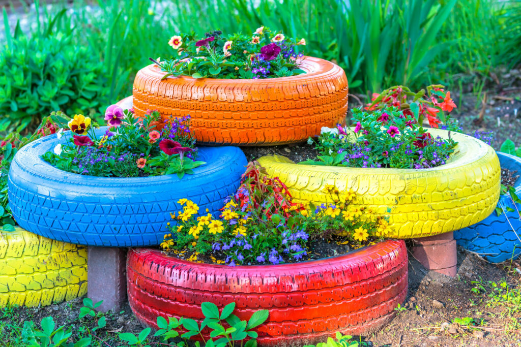 قم باختيار أوعية أو فازات ملونة لوضع نباتاتك وأزهارك