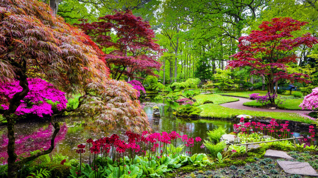 حديقة مميزة على الطراز الياباني
